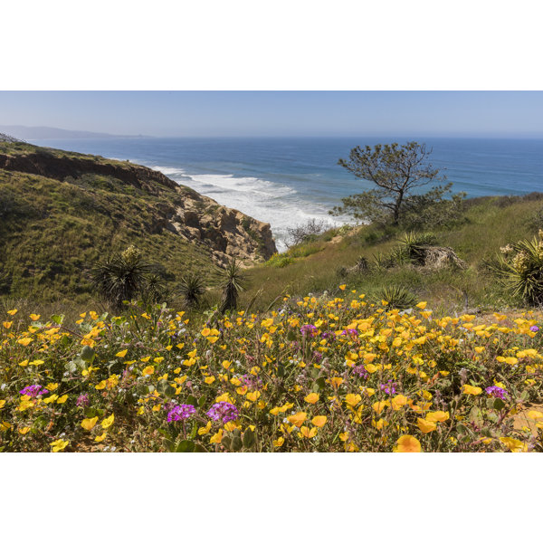 Ebern Designs " San Diego, California " Wayfair